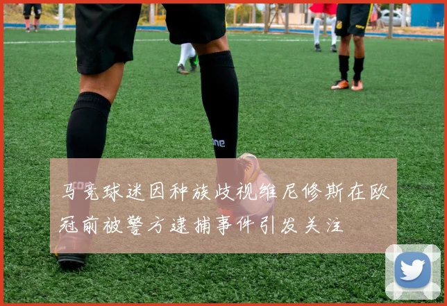 马竞球迷因种族歧视维尼修斯在欧冠前被警方逮捕事件引发关注
