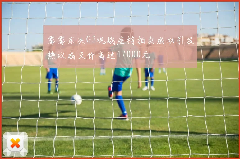 霉霉东决G3观战座椅拍卖成功引发热议成交价高达47000元