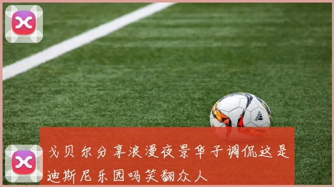 戈贝尔分享浪漫夜景华子调侃这是迪斯尼乐园吗笑翻众人